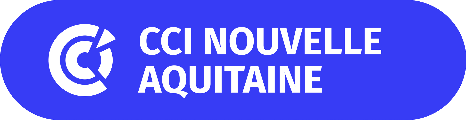 CCI Nouvelle-Aquitaine